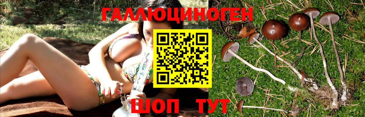 LSD-25  Гашиш  Красноуфимск  Вход с VPN  ГАШИШ  Мефедрон кристаллы  MDMA  КОКАИН  Alpha PVP СК кристаллы  Бошки Шишки 