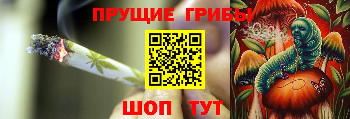 Красноуфимск  Галлюциногенные грибы MAGIC MUSHROOMS  даркнет сайт  Вход с VPN 